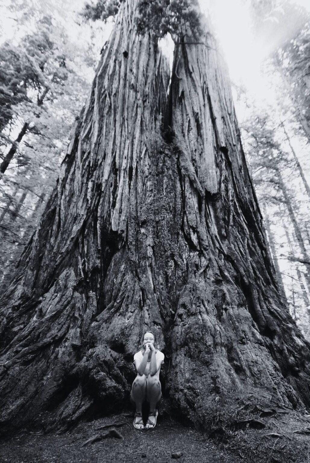 Young woman sitting at the base of a giant tree.